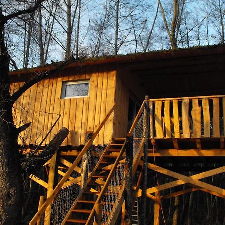 Cabane Des Cerfs Allons  Buitenkant foto